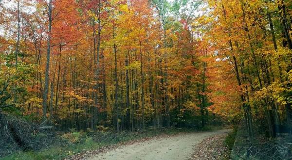 9 Amazing Michigan Fall Hikes Under 3 Miles You’ll Absolutely Love