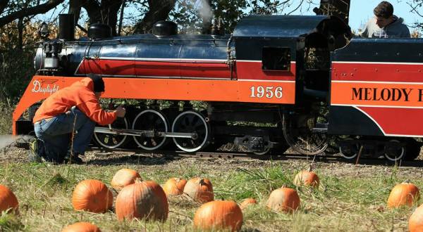 The Pumpkin Patch Train Ride In Wisconsin That Everyone In Your Family Will Love