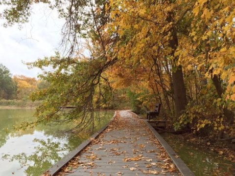 10 Short And Sweet Fall Hikes In Ohio With A Spectacular End View