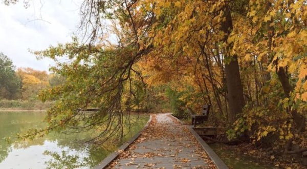 10 Short And Sweet Fall Hikes In Ohio With A Spectacular End View