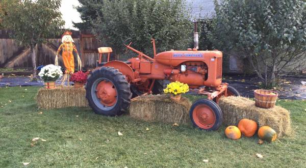 6 Harvest Festivals In Montana That Will Make Your Autumn Awesome