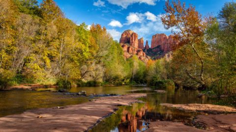 Here Are The Best Times And Places  To View Fall Foliage In Arizona