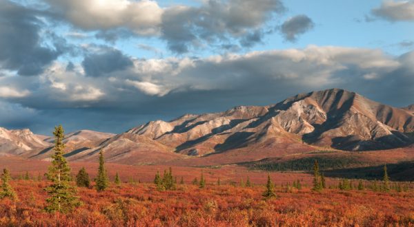 Here Are The Best Times And Places To View Fall Foliage In Alaska