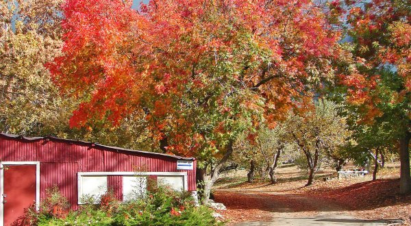 The Charming Cider Mill In Southern California That Will Have You Longing For Fall