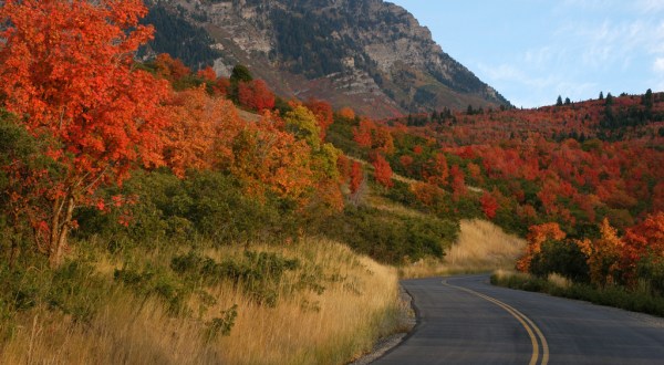 This Dreamy Road Trip Will Take You To The Best Fall Foliage In All Of Utah