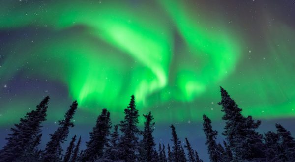 11 Things That Will Always Make Alaskans Think Of Home