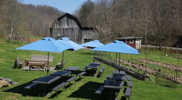 This West Virginia Restaurant Is So Remote You’ve Probably Never Heard Of It