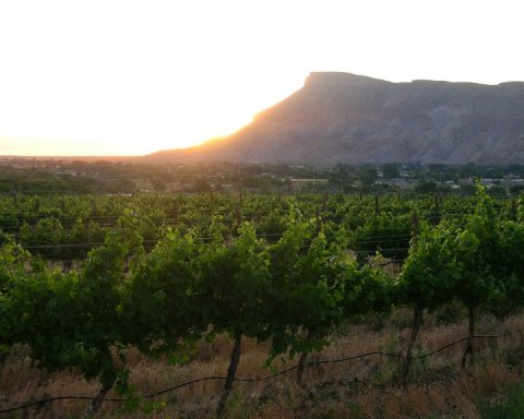 Not Many People Realize That Colorado Has A Fruit & Wine Byway You'll Want To Visit ASAP