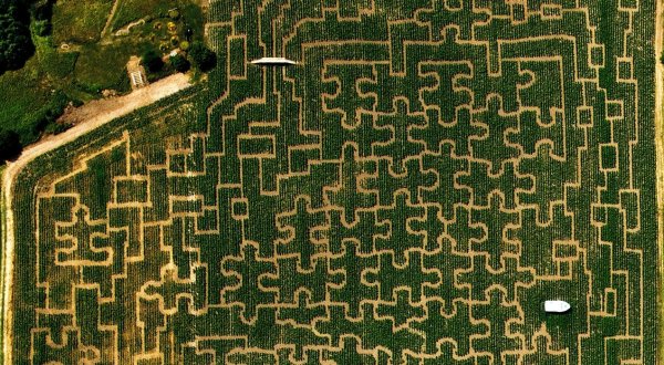 Get Lost In Vermont’s Largest Corn Maze This Fall