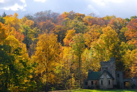 The Best Times And Places To View Fall Foliage Around Cleveland