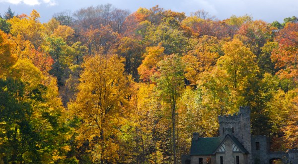 The Best Times And Places To View Fall Foliage Around Cleveland