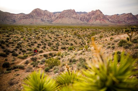 You Must Add This Stunning And Historical Nevada Trail To Your Bucket List