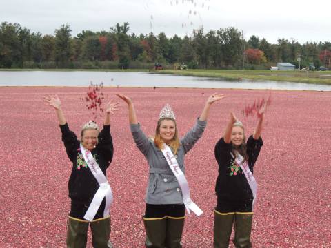 14 Harvest Festivals In Wisconsin That Will Make Your Autumn Awesome