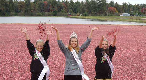 14 Harvest Festivals In Wisconsin That Will Make Your Autumn Awesome
