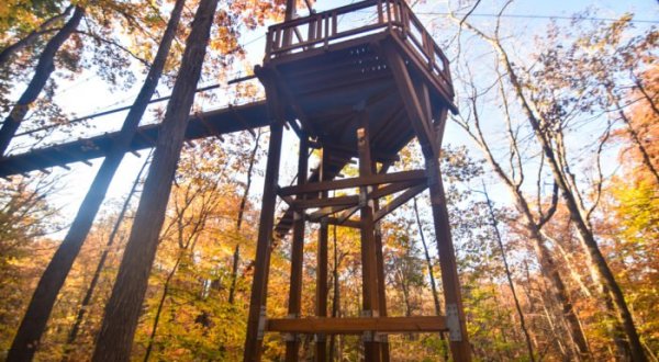 This Canopy Walk In Ohio Is The Perfect Way To See The Fall Colors Like Never Before