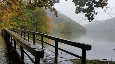 The One Hikeable Lake In Virginia That's Simply Breathtaking In The Fall