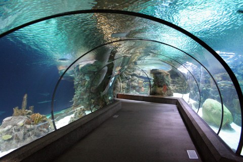 This Underwater Tunnel In Nebraska Will Enchant You In The Best Way Possible