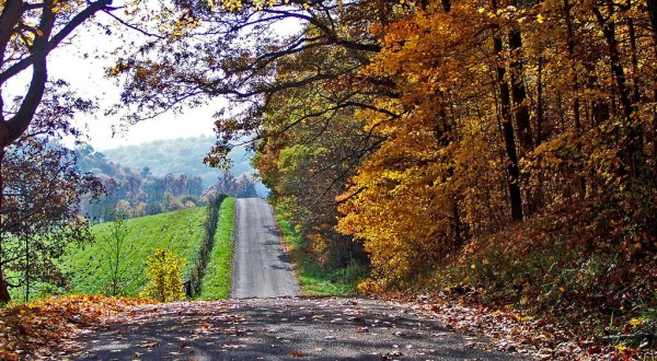 15 Photos That Prove Fall In Ohio Is Like Nowhere Else In The World