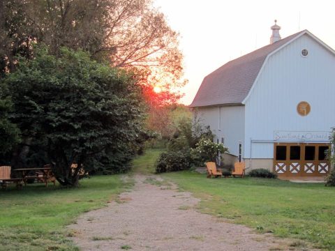 These 9 Charming Cider Mills In Minnesota Will Have You Longing For Fall