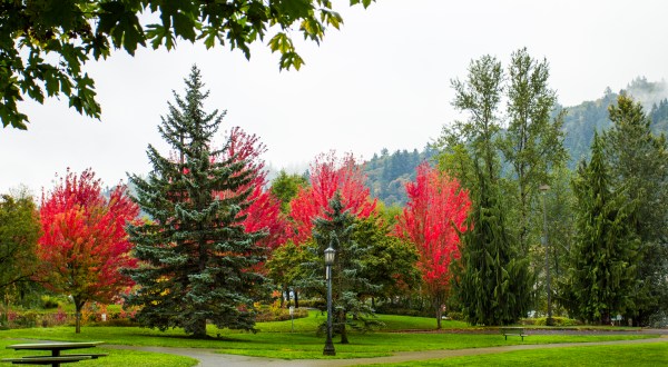 The One Park In Portland That’s Picture Perfect For A Fall Day