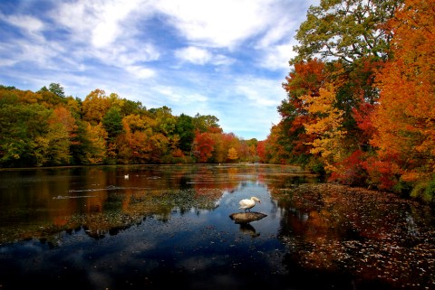 The Best Times And Places To View Fall Foliage In Connecticut