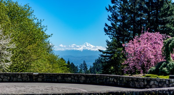 Visit The Highest Park in Portland For An Out-Of-This World View Of The City