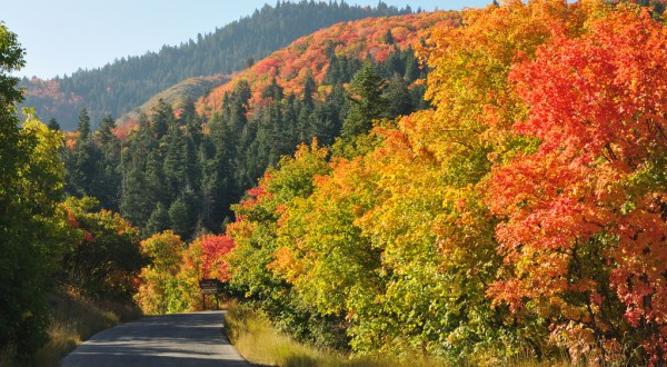 Here Are 12 Ways You Know It’s Fall In Utah