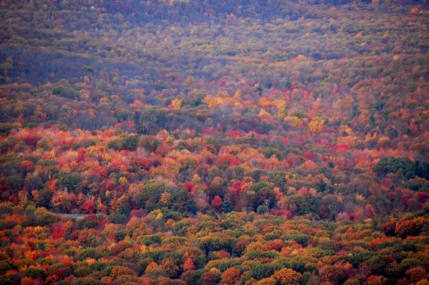 The Best Times And Places To View Fall Foliage In Pennsylvania