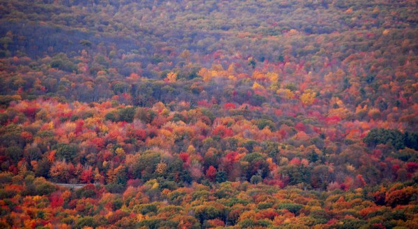 The Best Times And Places To View Fall Foliage In Pennsylvania