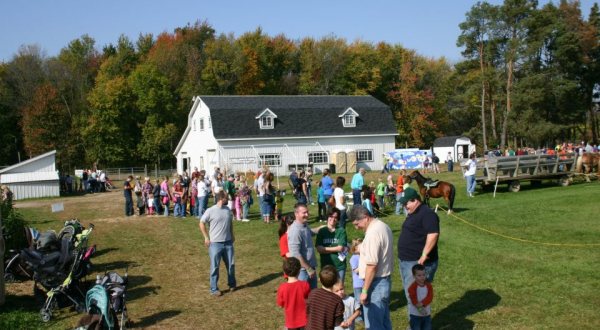 9 Family Farms In Michigan That Are Perfect For An Autumn Afternoon
