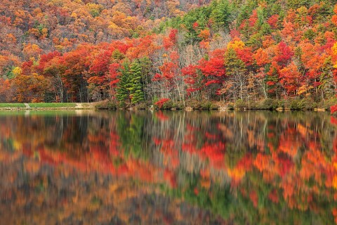 Here Are The Best Times And Places To View Fall Foliage In Virginia
