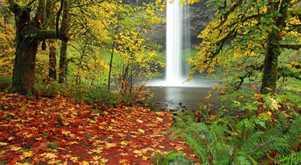 10 Magical Waterfalls Await You At This Park Near Portland