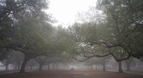 The Sinister Story Behind This Popular New Orleans Park Will Give You Chills