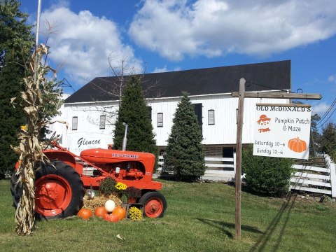 These 5 Charming Pumpkin Patches In West Virginia Are Picture Perfect For A Fall Day
