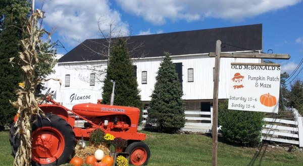 These 5 Charming Pumpkin Patches In West Virginia Are Picture Perfect For A Fall Day