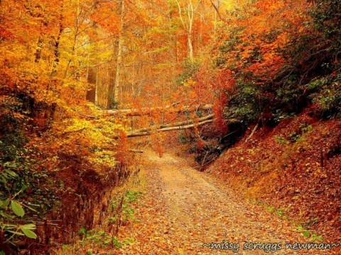 20 Photos That Prove Fall In Tennessee Is Like Nowhere Else In The World