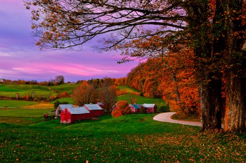 The Best Times And Places To View Fall Foliage In Vermont