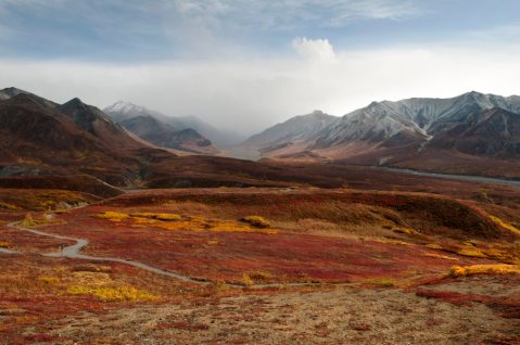 12 Picture Perfect Fall Day Trips To Take In Alaska