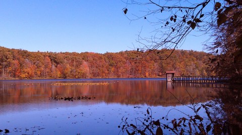 The One Hikeable Lake In Kentucky That's Simply Breathtaking In The Fall