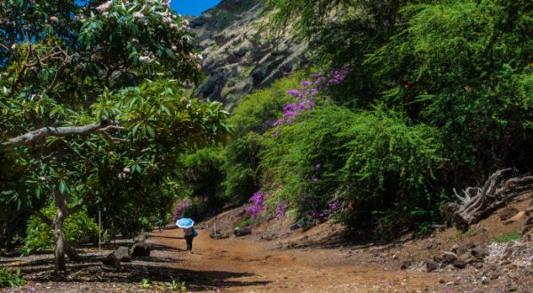 10 Hikes In Hawaii That Will Make You Forget That You’re In Hawaii