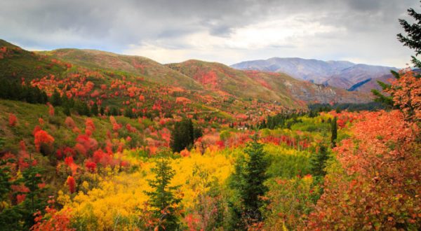 Here Are The Best Times And Places To View Fall Foliage In Utah