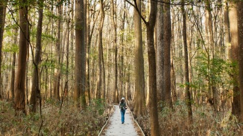 8 Amazing Charlotte Hikes Under 3 Miles You'll Absolutely Love