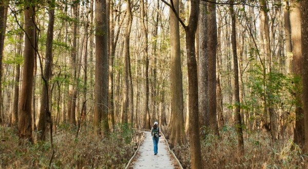 8 Amazing Charlotte Hikes Under 3 Miles You’ll Absolutely Love