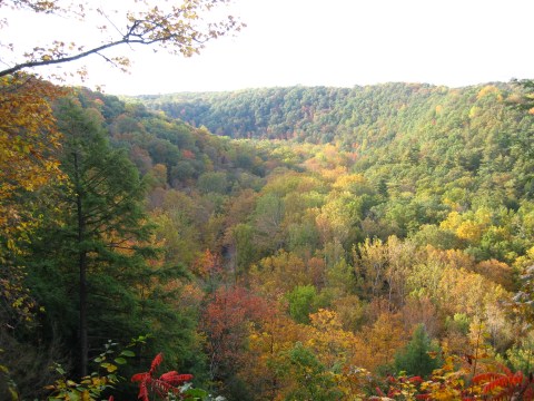 If You Live In Columbus, You Must Visit This Amazing State Park