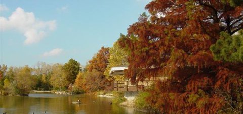 11 Picture Perfect Fall Day Trips To Take In Kansas