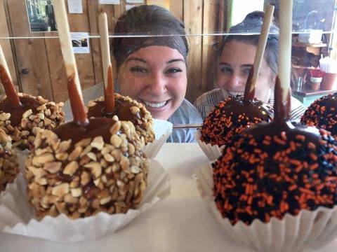 Here Are 10 Irresistible Fall Goodies You Can Only Find In Illinois
