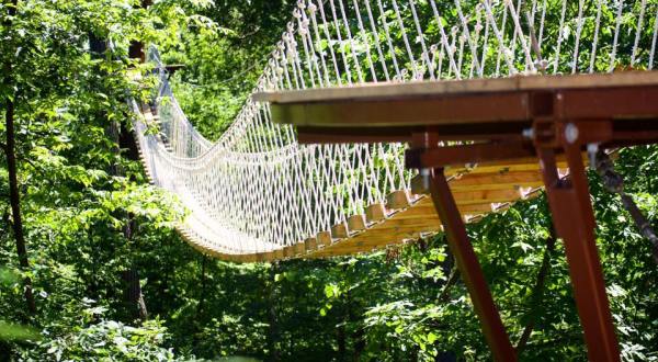 7 Tree-Top Tours You Should Take In Illinois Before Winter Comes