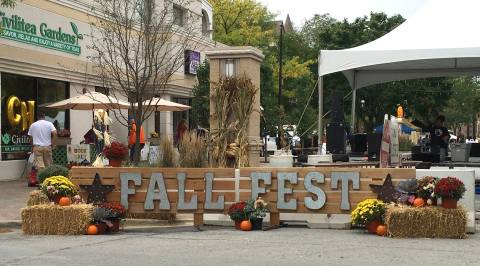 10 Harvest Festivals Around Chicago That Will Make Your Autumn Awesome