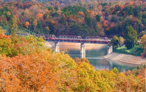 Take This Fall Foliage Train Ride Near Charlotte For A One-Of-A-Kind Experience