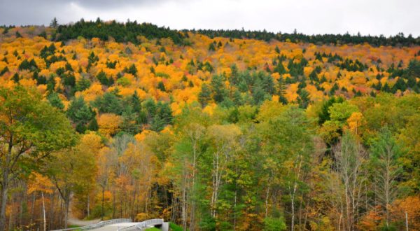 The Best Times And Places To View Fall Foliage In Massachusetts